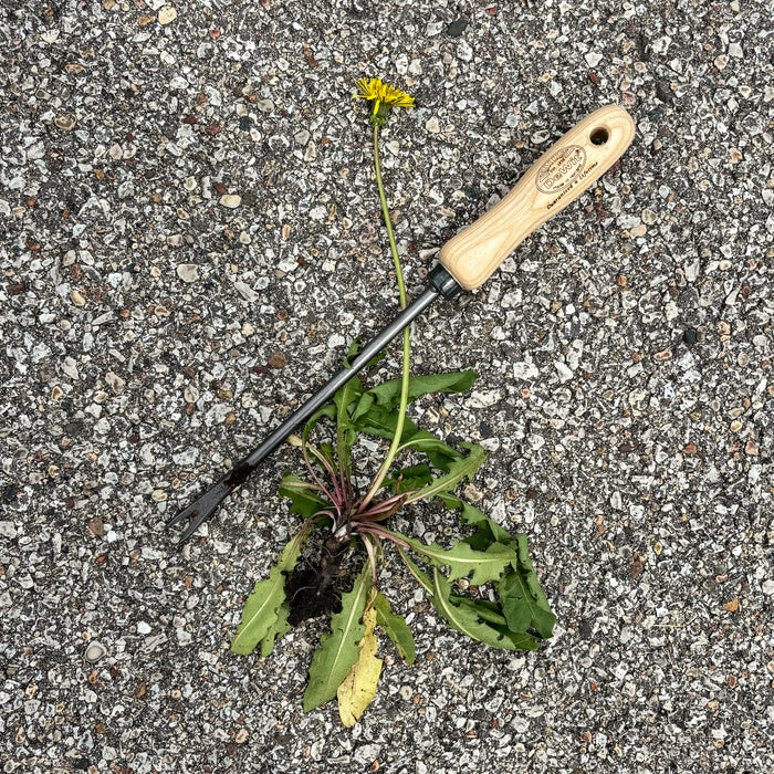 DeWit Weeder - Dandelion