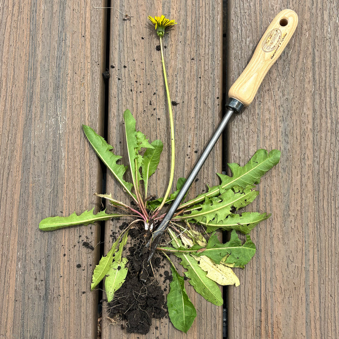 DeWit Weeder - Dandelion