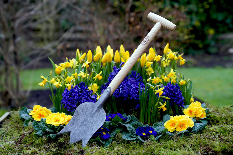 DeWit Spade - Tulip T-Handle