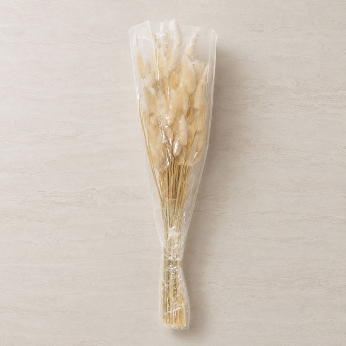 Bunny Tail Bundle (Set of 2) 32.5"H Natural