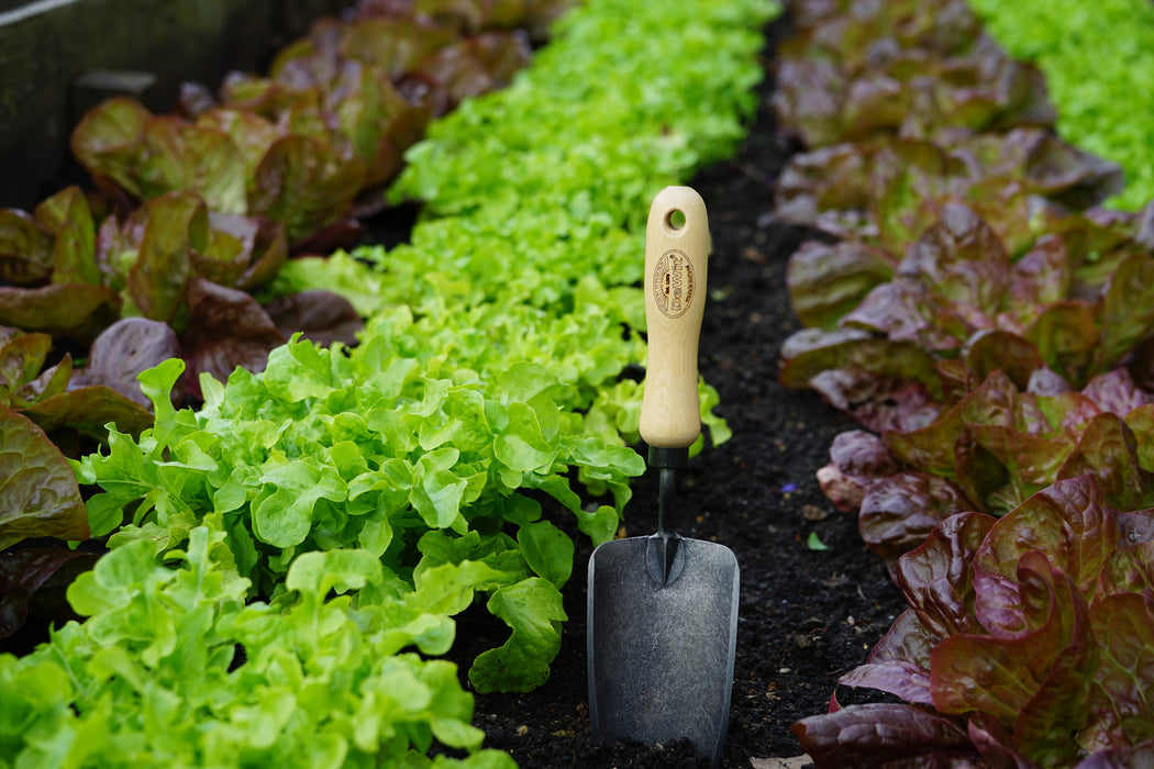 DeWit Tool Gift Set - Starter Intro to Gardening