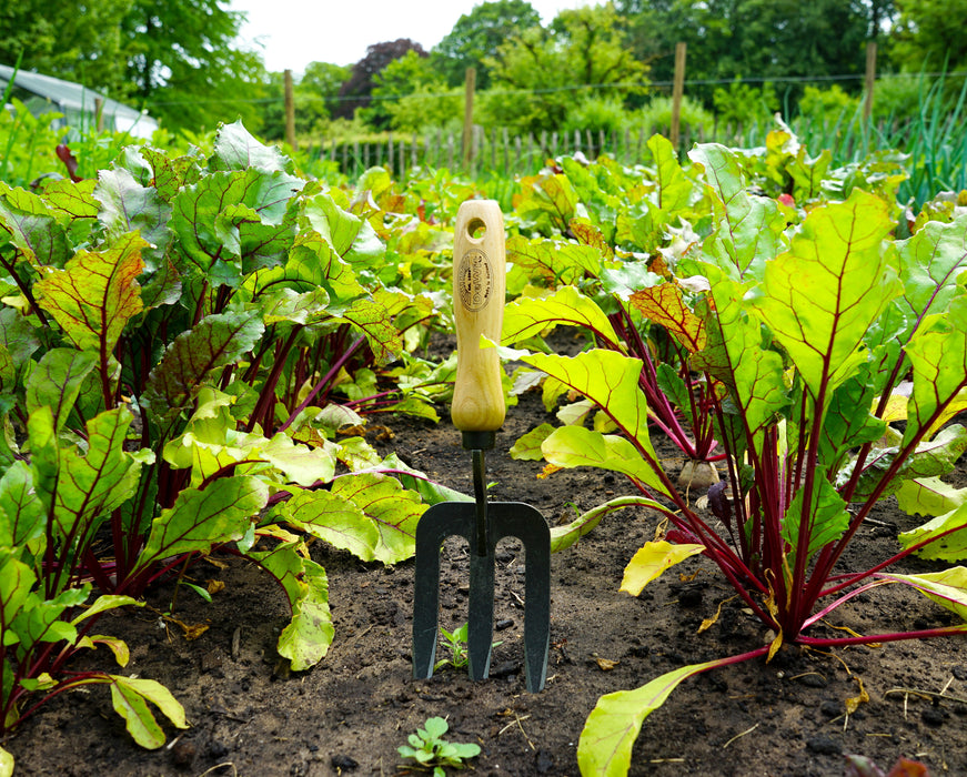 DeWit Tool Gift Set - Starter Intro to Gardening