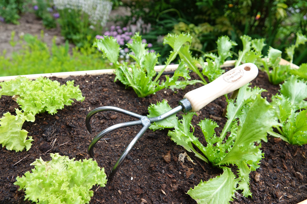 DeWit Tool Gift Set - Starter Intro to Gardening