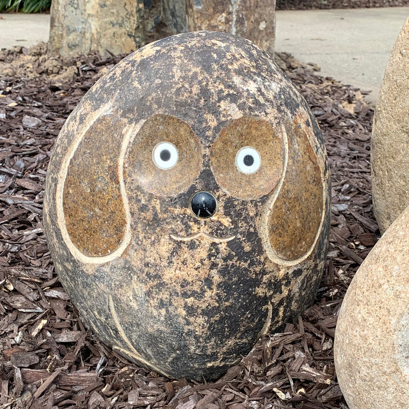 12" H Boulder Dog