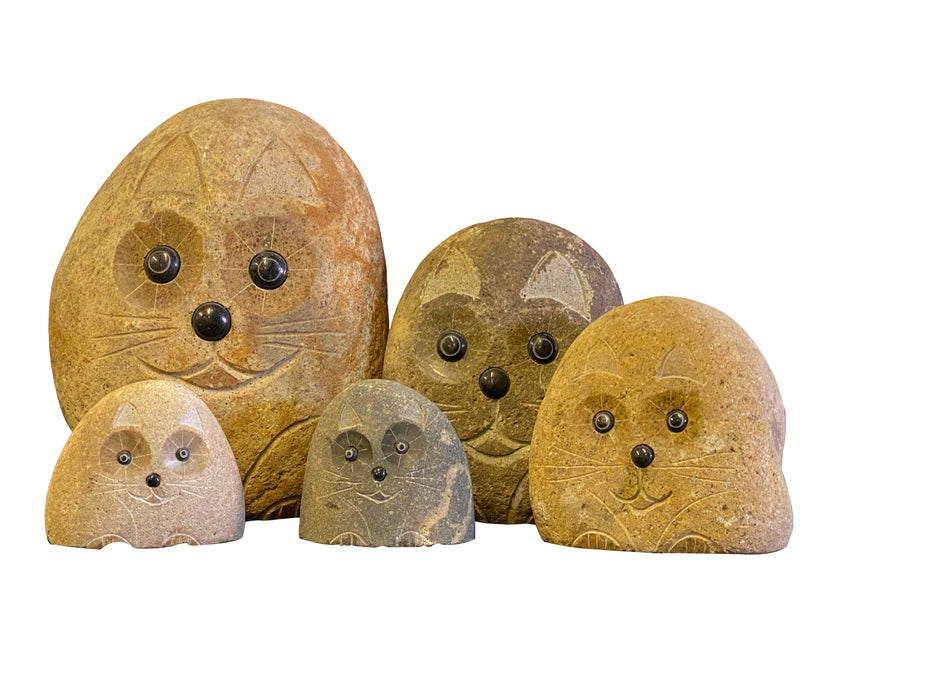 Family of Boulder Cats 5 Pcs 4"x26"8"12"
