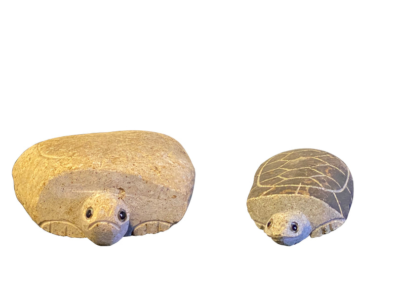Family of Boulder Turtles 2 Pcs 10"14"