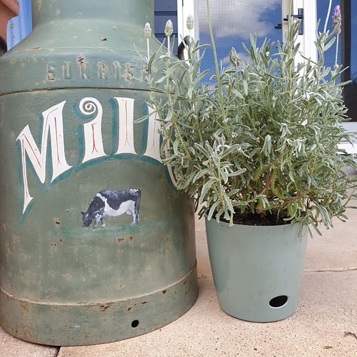 7" Sage Green Round Self-Watering Bamboo Pot