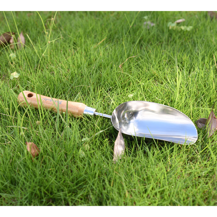 Stainless Steel Scoop with Bamboo Handle