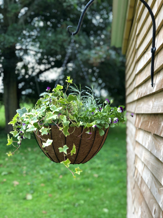 16" York Deluxe Hanging Basket with Coco Liner