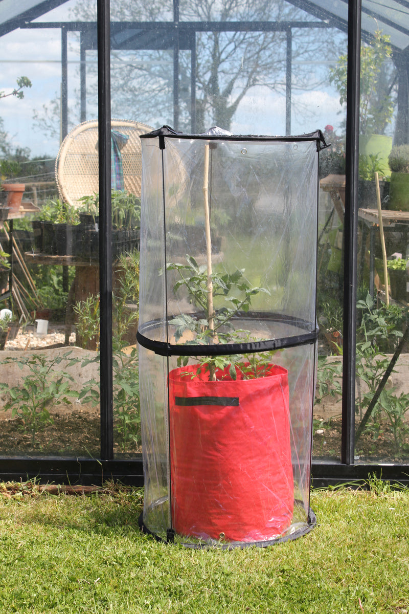 Twist Up Tomato Cloche