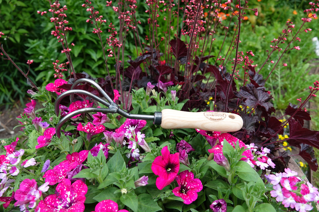 DeWit Cultivator - 3 Tine