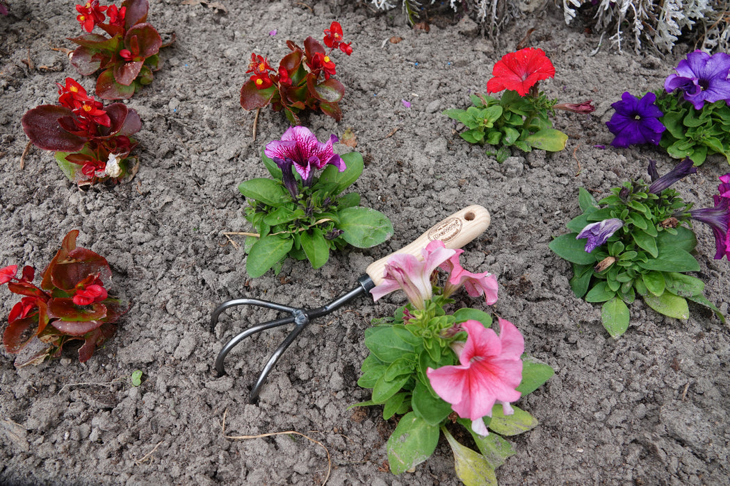 DeWit Tool Gift Set - Starter Intro to Gardening