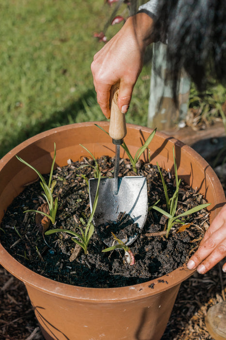 DeWit Shovel - Mini American Welldone