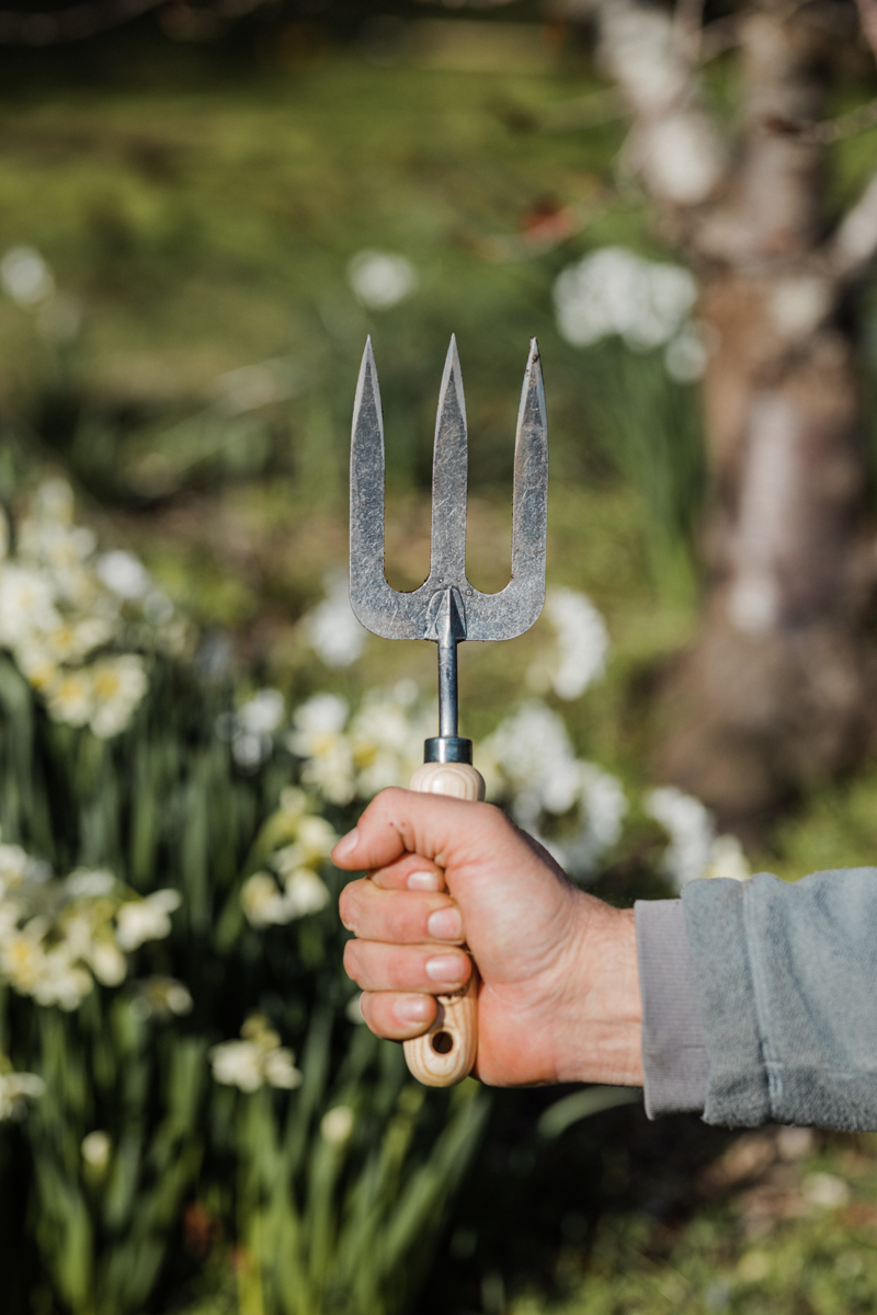 DeWit Fork - Hand