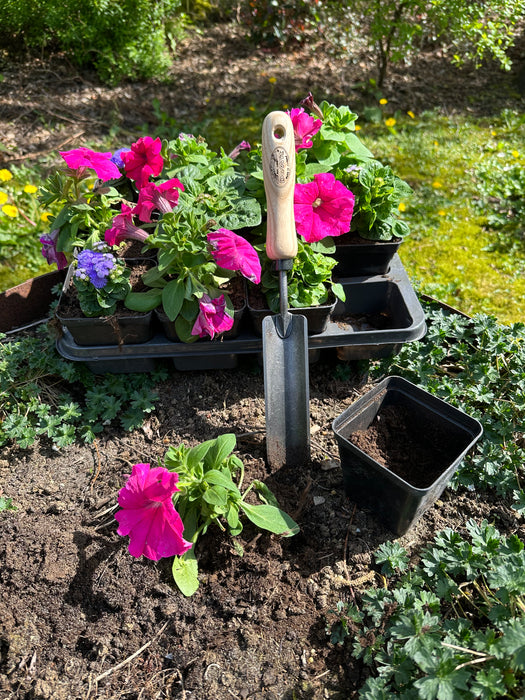 DeWit Trowel - Rock N Root