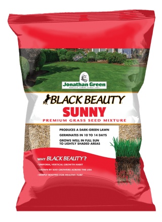 Jonathan Green Black Beauty® Sunny Grass Seed - In store pickup only