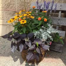 Festive Fall Bushel Baskets (assorted) - In Store Pickup