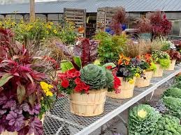 Festive Fall Bushel Baskets (assorted) - In Store Pickup