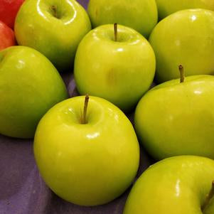 APPLE (MALUS) `GRANNY SMITH` - In Store Pickup