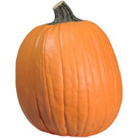 Carving Pumpkins - In Store Pickup