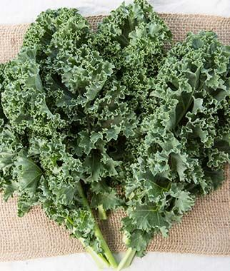 Kale - 6 Pack - In Store Pickup